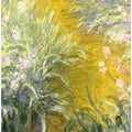The Path through the Irises
