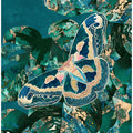 Moth and Monstera Leaves