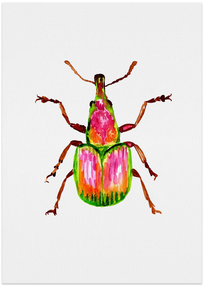 Apricot weevil or Epirhynchites auratus