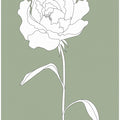 Rose in Green