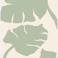 Monstera Sage Green