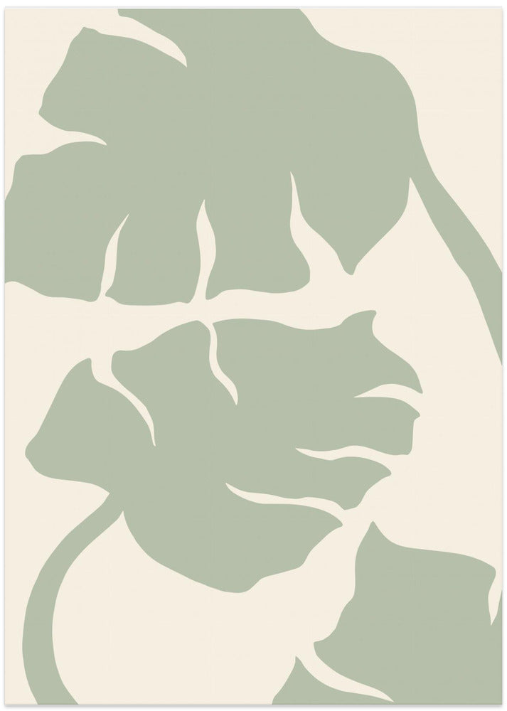 Monstera Sage Green