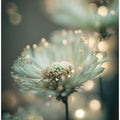 Dreamy Blossoms