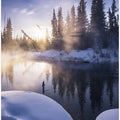 Alaskan Winter