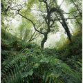 Tree World