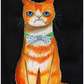 Sad Cat