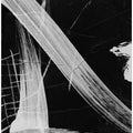 Art Prints of Sinking No2