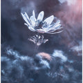 The divine sound of creation