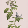 Botanical cycling
