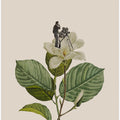 Botanical vintage cameraman
