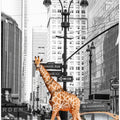 Art Prints of Morning Walk