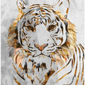 Golden Tiger and Concrete