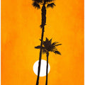 Sunshine Paradise