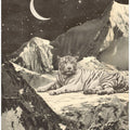 Giant White Tiger