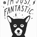 Im Just Fantastic
