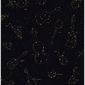 Art Prints of Heavens Music