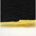 Art Prints of Black and White Golden Light