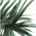 Art Prints of Lush