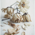 Faded Elegance
