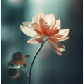 Petal Serenity