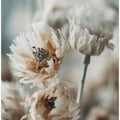 Dry Pastel Flowers No 3