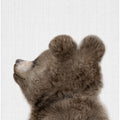 Peekaboo Baby Bear Back