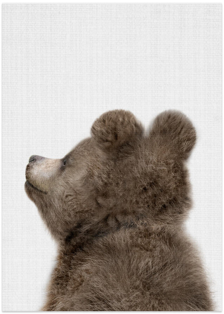Peekaboo Baby Bear Back