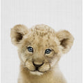 Peekaboo Baby Lion