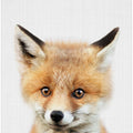 Peekaboo Baby Fox