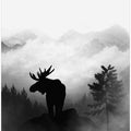 Moose