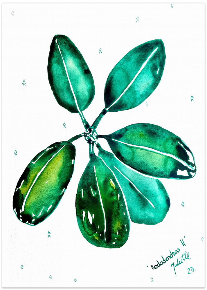 Rhododendron II