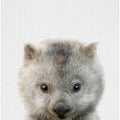 Peekaboo Baby Wombat