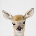 Peekaboo Baby Deer