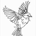 Art Prints of If You're a Bird
