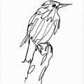 Art Prints of Walking Murmuration