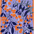 Blue And Orange Berries