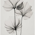 Transparent Botanic No 3