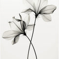 Whispers of Petals