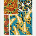 Butterflies 19
