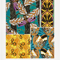 Butterflies 20