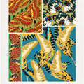 Butterflies 19