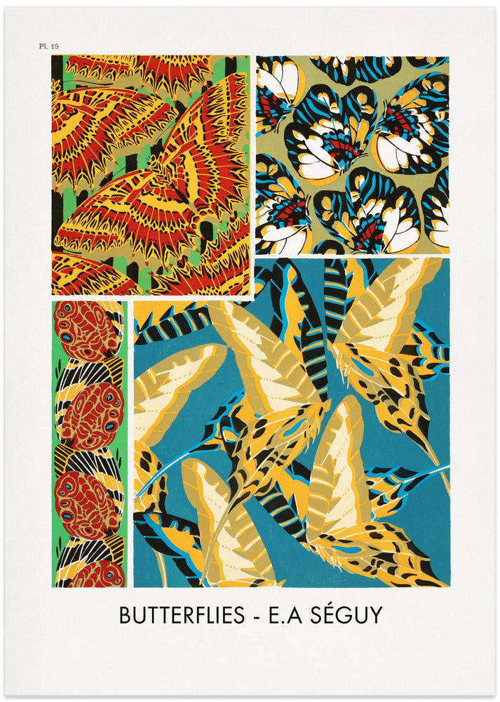 Butterflies 19