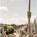 Cactus Farm