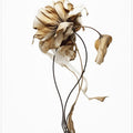Wilted Elegance