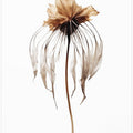 Faded Elegance