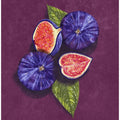 Figs Stil Life