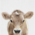 Peekaboo Baby Cow