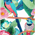 Birds of Spring