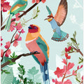 Birds of Summer