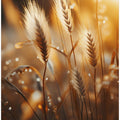 Golden Whisper Fields